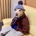 bakeryinc#5238's avatar