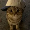 avatar Prusso