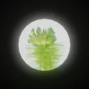 waterlettuceproductions
