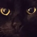 heideggeronline