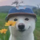 gerdiedoo
