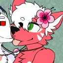 hibiscuskitsune
