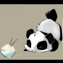 kingpandathe1st