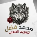 mohammad_fadel1987