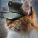 haamuguy