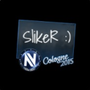 avatar Sliker