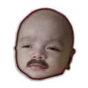 rohiimatt