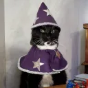 im.wizard