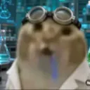 cisod