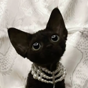 avatar 𝒜𝒹𝑒𝓁