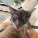 59e14abd5ab10c0d0c187dafef874ef9