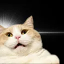 ham7852
