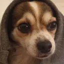 lukeskymoon