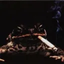 dmraptorjesus avatar