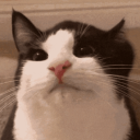 avatar schuh ᶻ 𝘇 𐰁