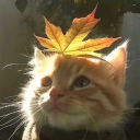 avatar Zunii