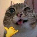 avatar .zunii
