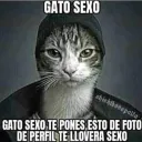 marielcaroli