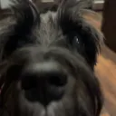 bigotime