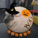 azurisan
