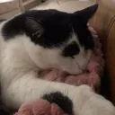 kyuukoi
