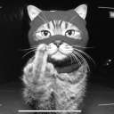 fsnoww#0863's avatar