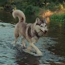 lunka92