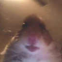 C. Kirkinho's avatar