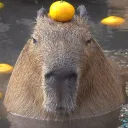 petepetepetepetepetepete