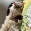 justin123_123 avatar