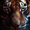 thunderbolt2314 avatar