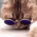 xbast1q