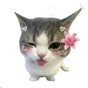 pplnka