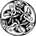 tadigkoz