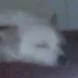 khxlill