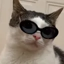 qw1nnnn