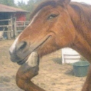 post_nut_clarity's Avatar