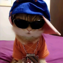 avatar 暗|• ᴍᴀᴜ