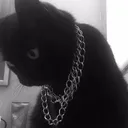 justsomekobula