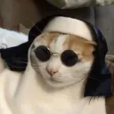 vlaws