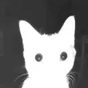 xgamer95