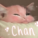 avatar 🌸✶Chanda-Bears✶🌸