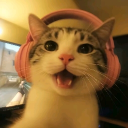 avatar 𝐕𝐢𝐜𝐭𝐨𝐫𝐢𝐚