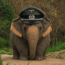 avatar Bürgermeister