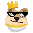 supdoggy