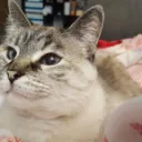 cutielou22