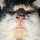 thetwixthief