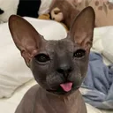 0n1x_22