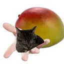 meihronias