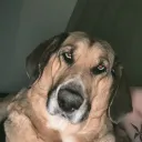 dread.exe